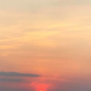 Meet your Posher, Charlene